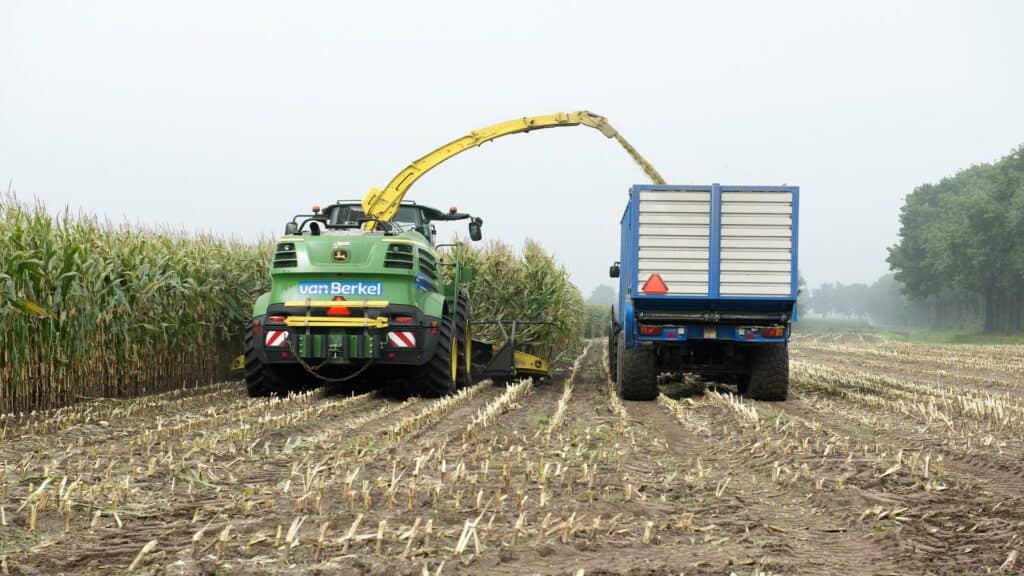 Agro - Weidebouw en veehouderij