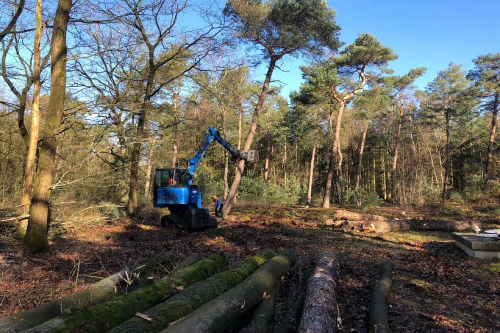 Landschap - Bomen en houtopstanden