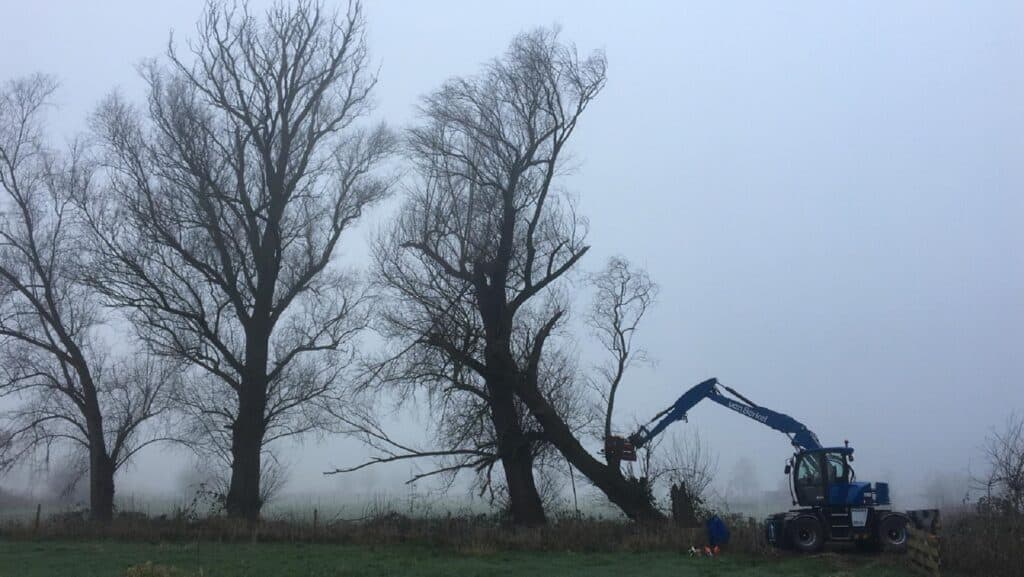 Landschap - Bomen en houtopstanden