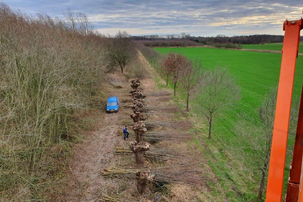 Landschap - Bomen en houtopstanden