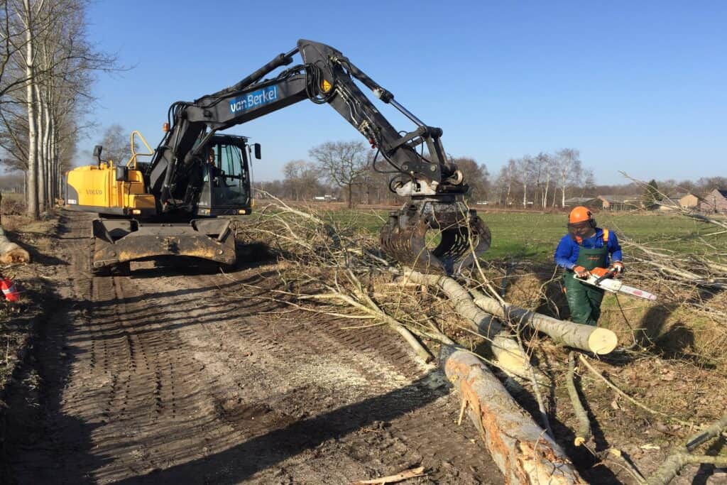 Landschap - Bomen en houtopstanden