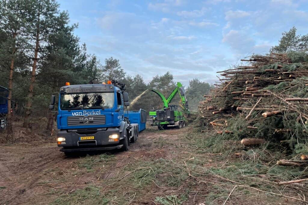 Landschap - Bomen en houtopstanden