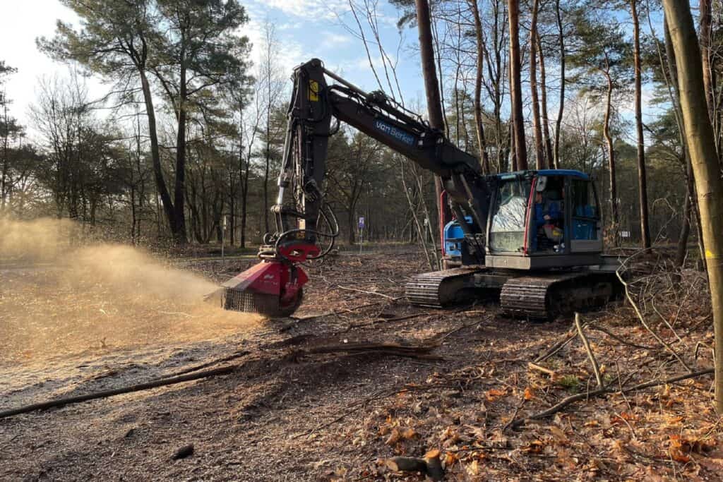 Landschap - Bomen en houtopstanden