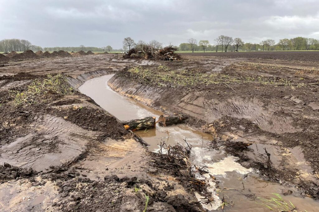 Landschap - Natuurbouw en onderhoud